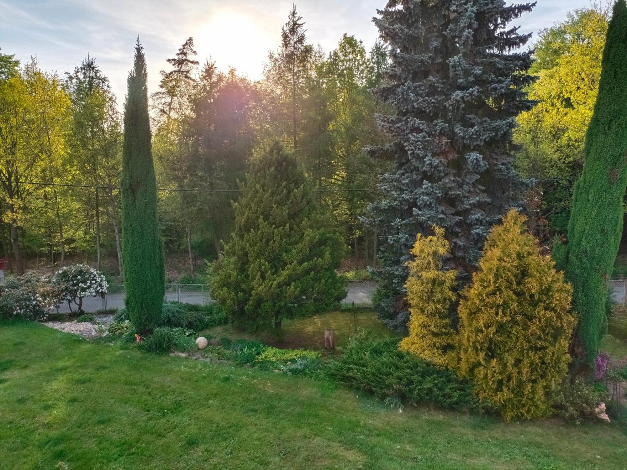 Apartman Za Lesem Cerveny Kostelec Luaran gambar